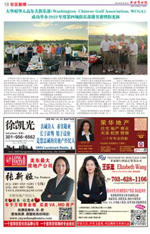 Image6