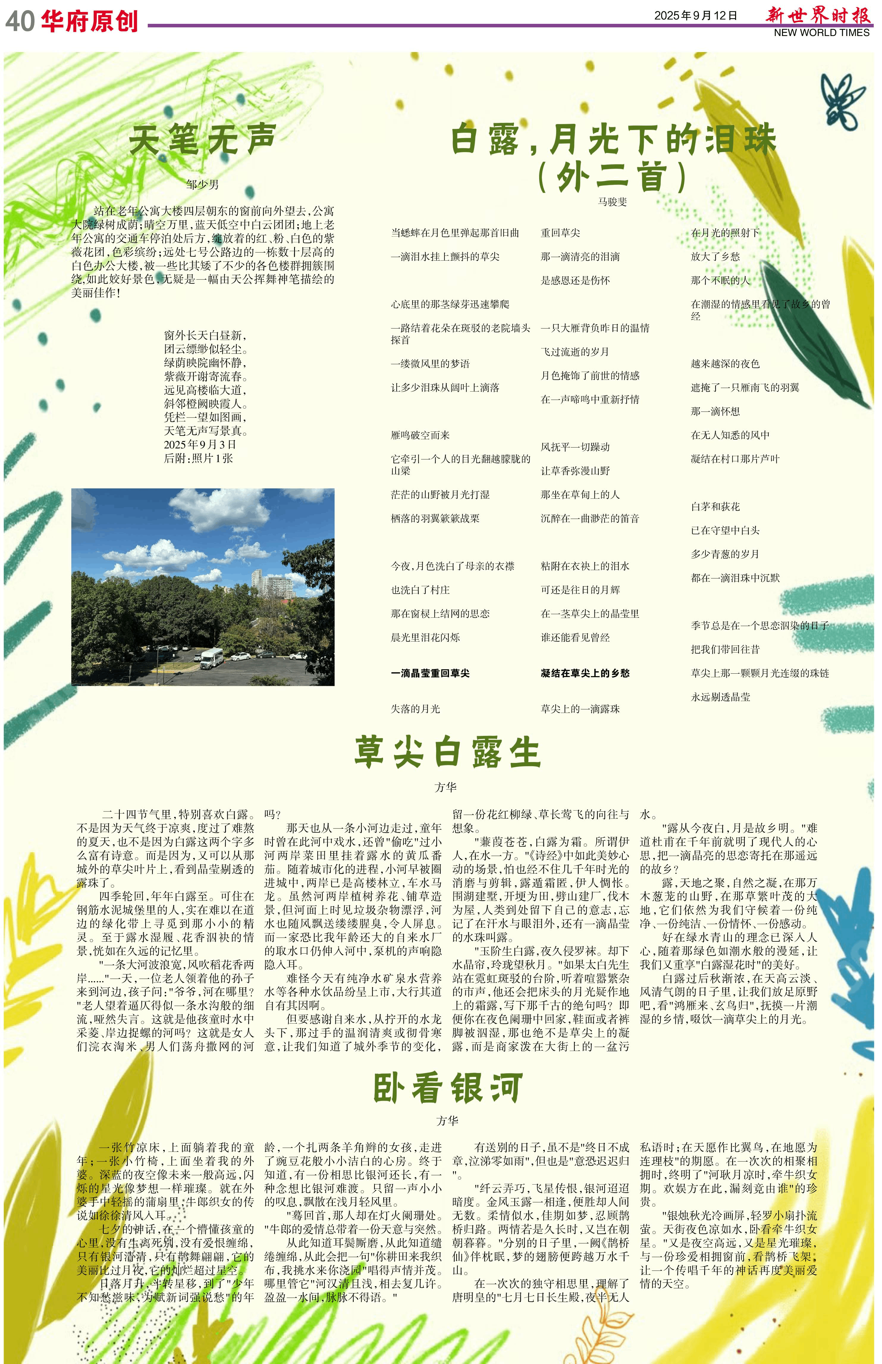 Image4