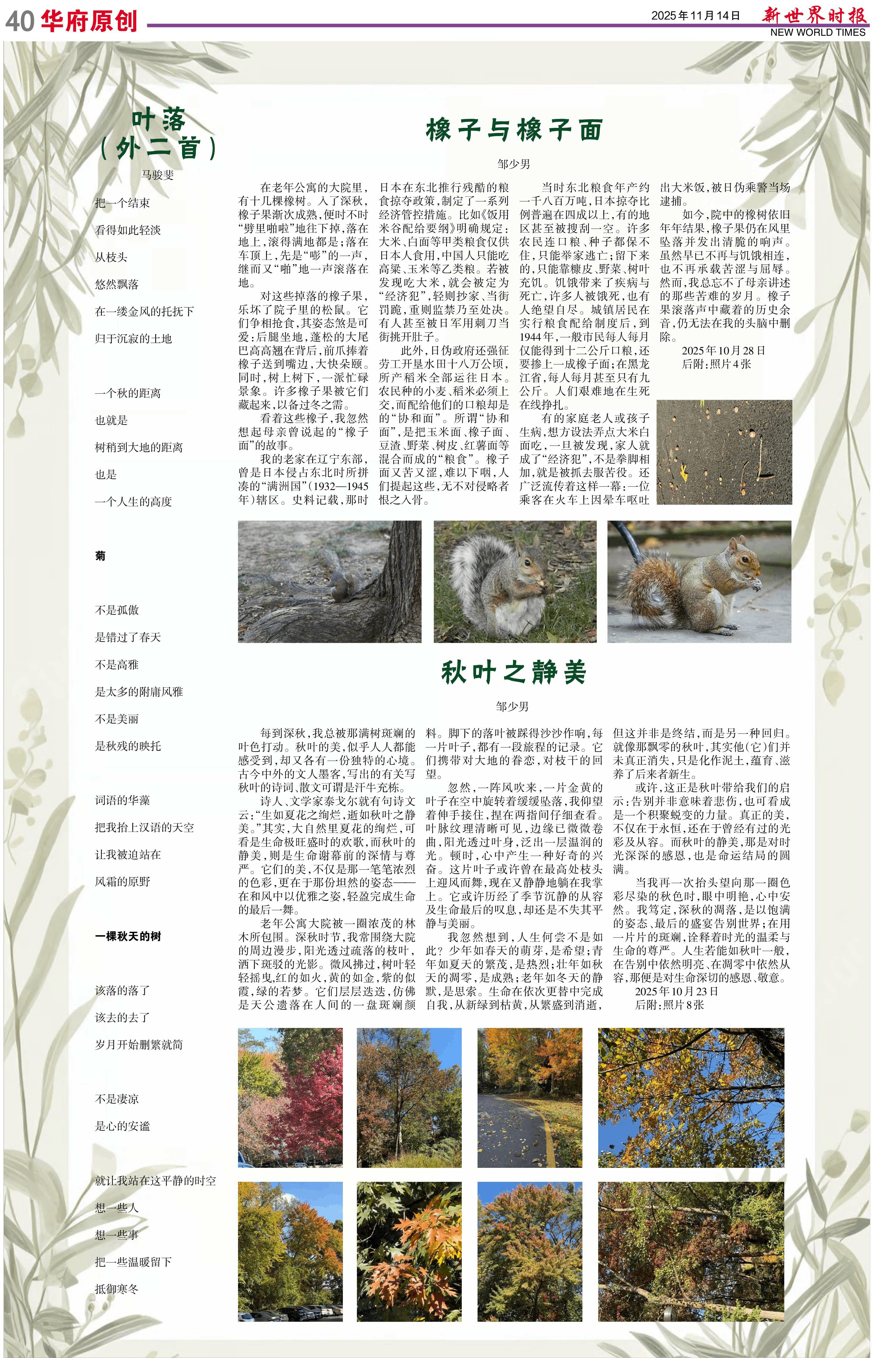 Image4