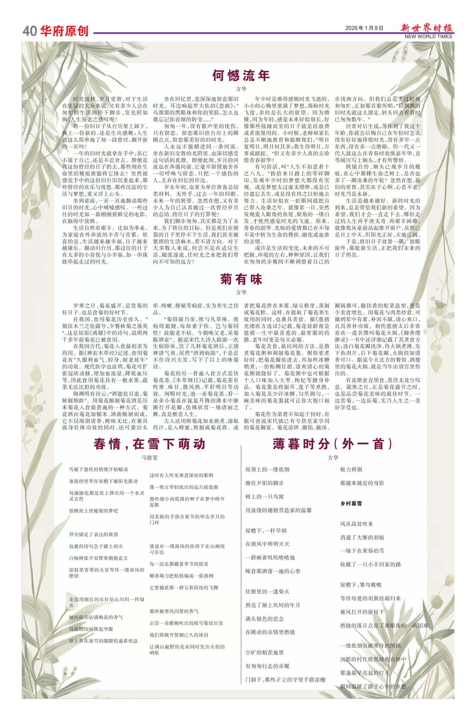 Image4