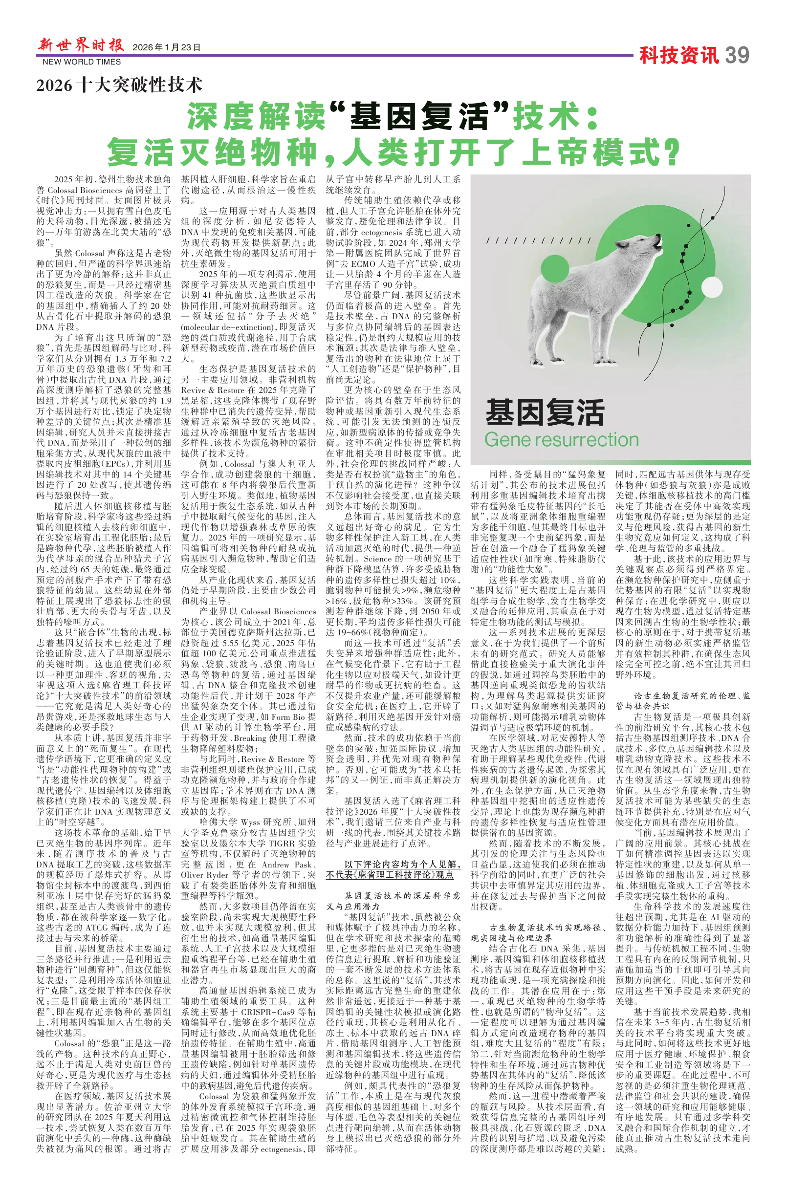 Image3